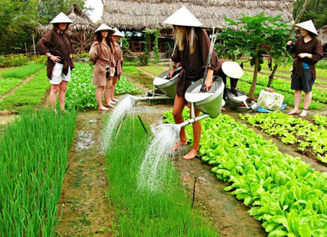 La Gai Homestay Hoi An Exteriér fotografie